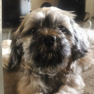 Meet your Posher, Judy